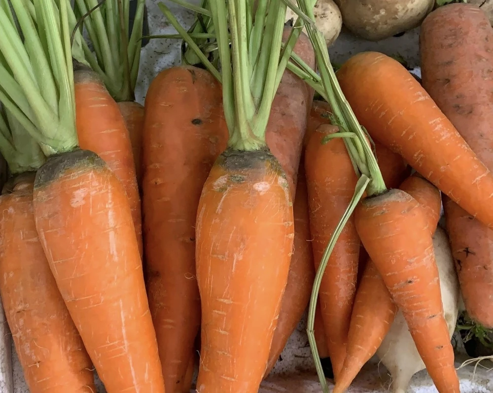 Các loại rau không chỉ chứa nhiều vitamin, khoáng chất và chất xơ mà còn là nguồn cung cấp carotenoids. Ảnh: PHƯƠNG LÊ.