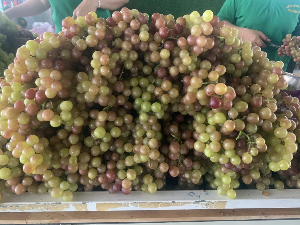 Nho chứa chất resveratrol, được biết là mang lại một số lợi ích cho sức khỏe. Ảnh: PHƯƠNG LÊ.