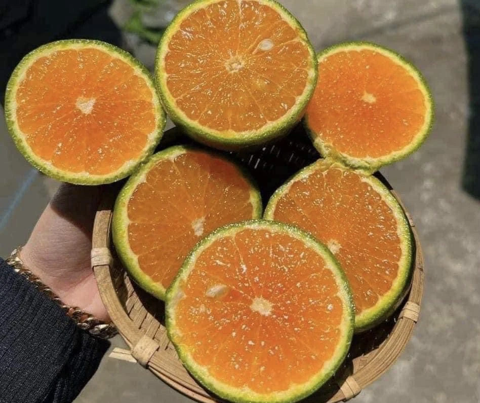 10- loai -thuc- pham- co-the-giup- kiem -soat- benh- loang -xuong-2.jpg