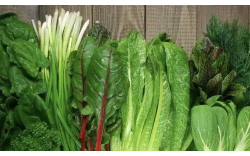 10- loai -thuc- pham- co-the-giup- kiem -soat- benh- loang -xuong.jpg