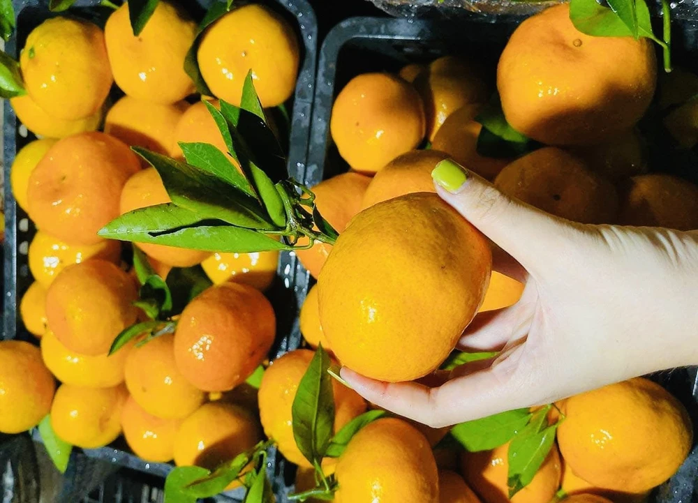 Day- la-thuc- pham -cung -cap- nguon- vitamin- A tot-1.jpg