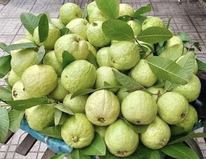 Mùa đông ăn những thực phẩm này giúp loại bỏ mỡ bụng.jpg