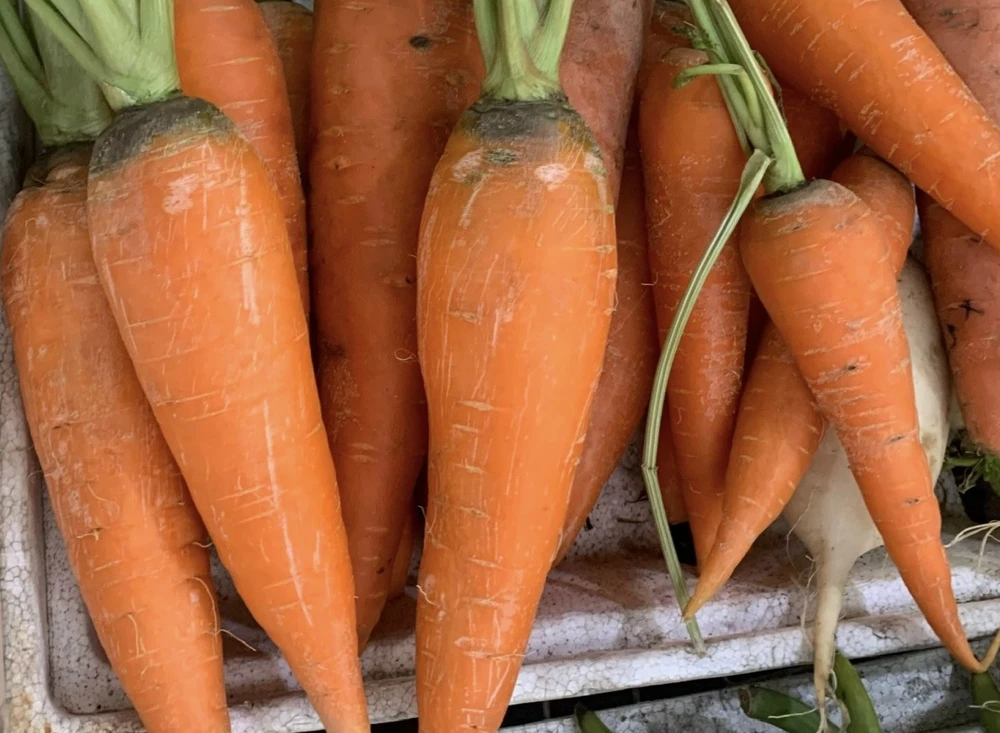 Mùa đông ăn những thực phẩm này giúp loại bỏ mỡ bụng.jpg