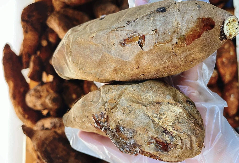 Món ăn nhẹ này giúp tăng cường sức khỏe và ngăn tăng cân trong mùa đông.jpg