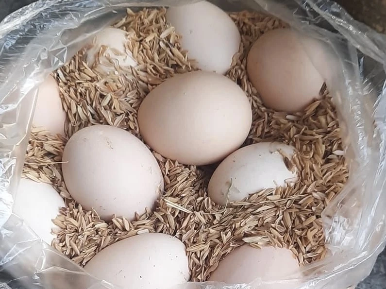 Đây là thực phẩm giàu protein, ít calo tốt nhất nên ăn.jpg