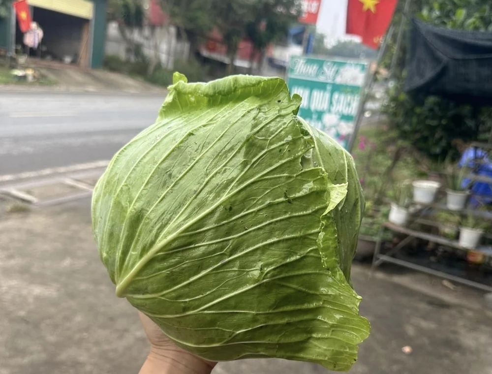 10 loại rau ít carb tốt nhất để giảm cân.jpg