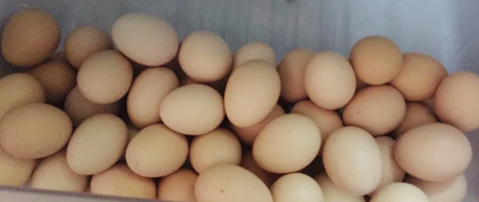 7 loại thực phẩm tăng cường sức mạnh cơ bắp một cách tự nhiên.jpg