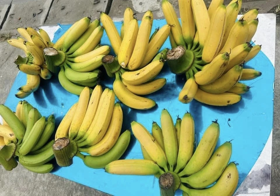 5 thực phẩm nên ăn hàng ngày để hệ tiêu hóa luôn khỏe mạnh.jpg