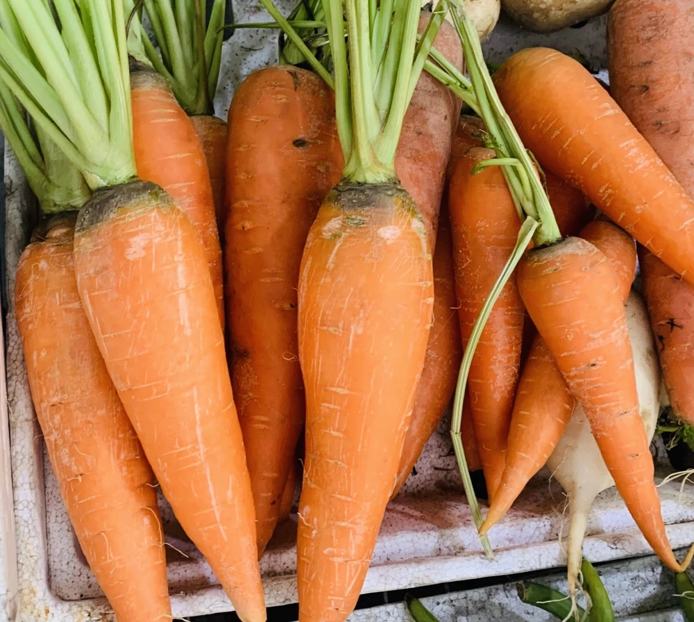 5 món salad làm từ cà rốt giúp bạn giảm thêm cân.jpg