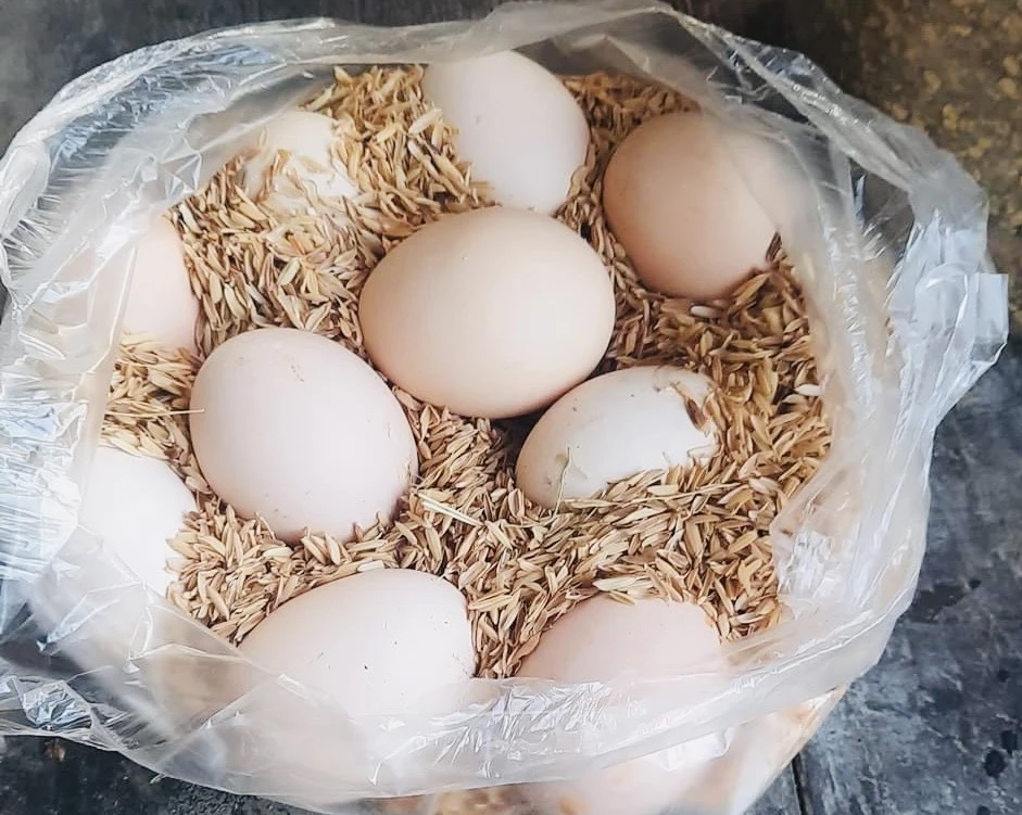 9 loại thực phẩm có thể giúp tăng trưởng cơ bắp.jpg