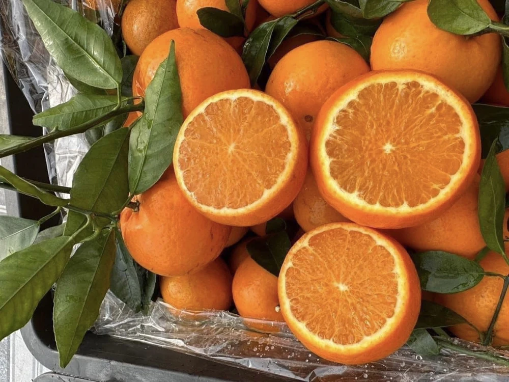 Ăn 5 loại trái cây này để thận luôn khỏe mạnh.jpg