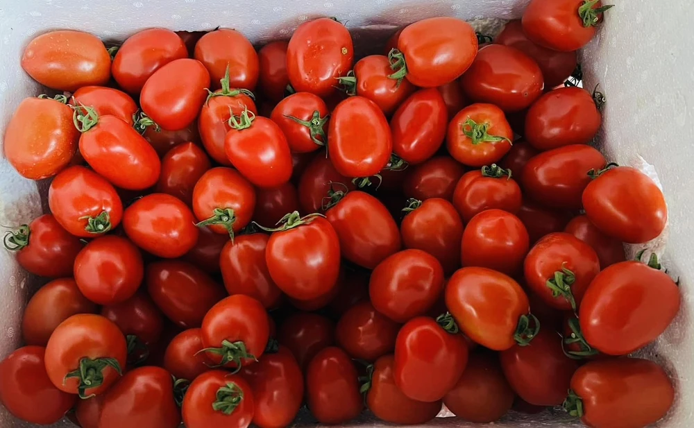 Những thực phẩm có thể giúp bạn mát mẻ và đủ nước trong các ngày nắng nóng.jpg