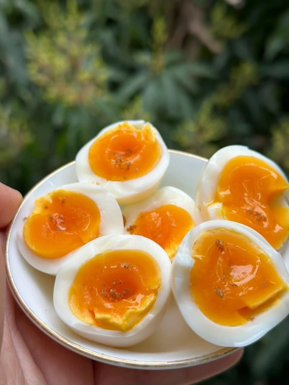 5 thực phẩm cần tránh trong hộp cơm trưa ở văn phòng vì nó gây mùi.jpg