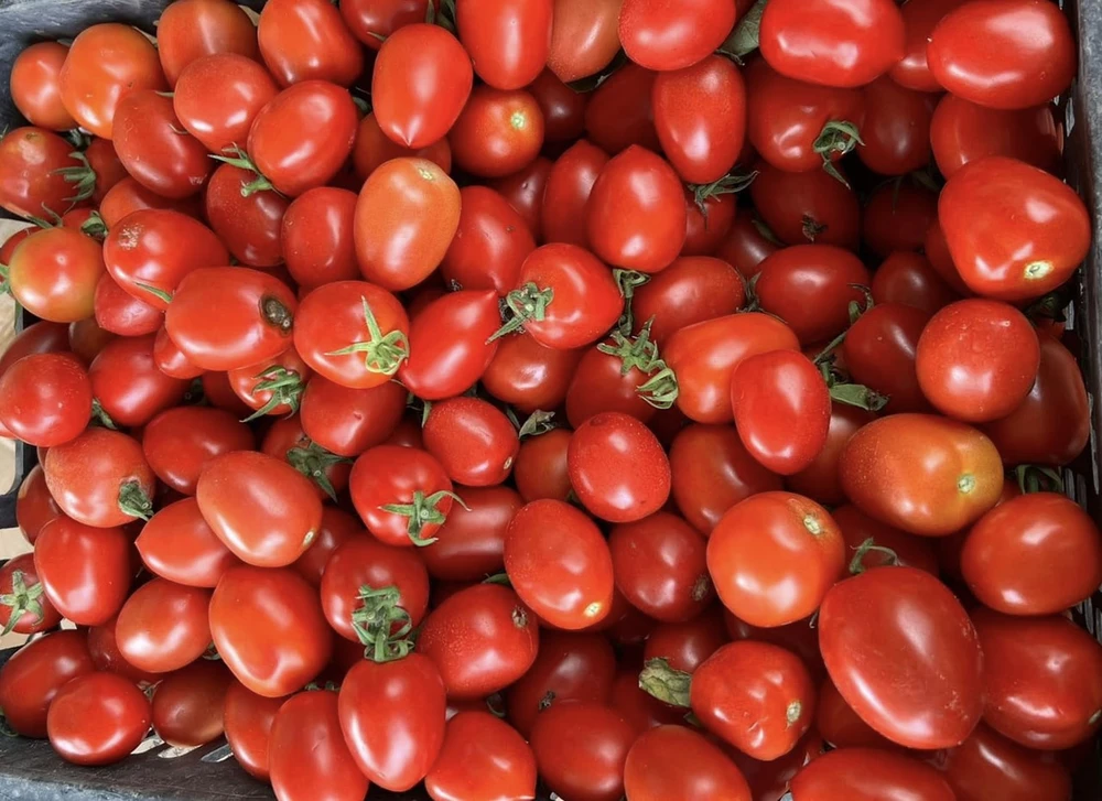 5 loại rau có thể giúp giảm viêm trong cơ thể bạn.jpg