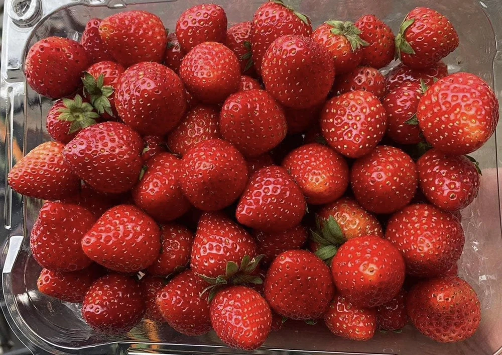 Bổ sung 9 loại thực phẩm này vào chế độ ăn uống để bảo vệ da khỏi bị cháy nắng.jpg