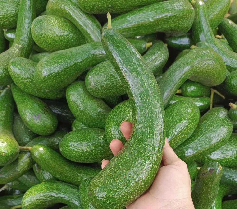 Giúp giảm mức độ căng thẳng bằng những thực phẩm này.jpg