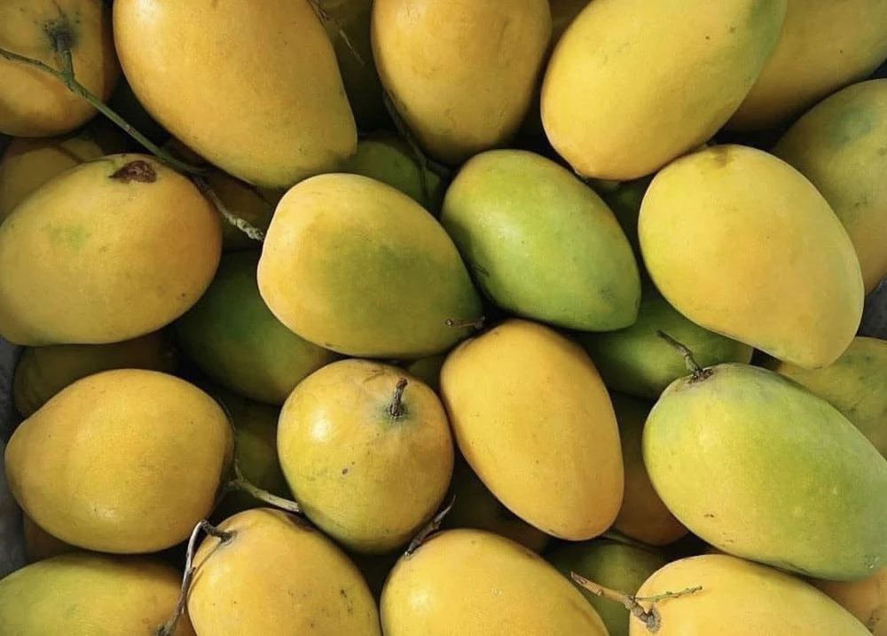 8 lợi ích tuyệt vời khi ăn xoài vào mùa hè.jpg