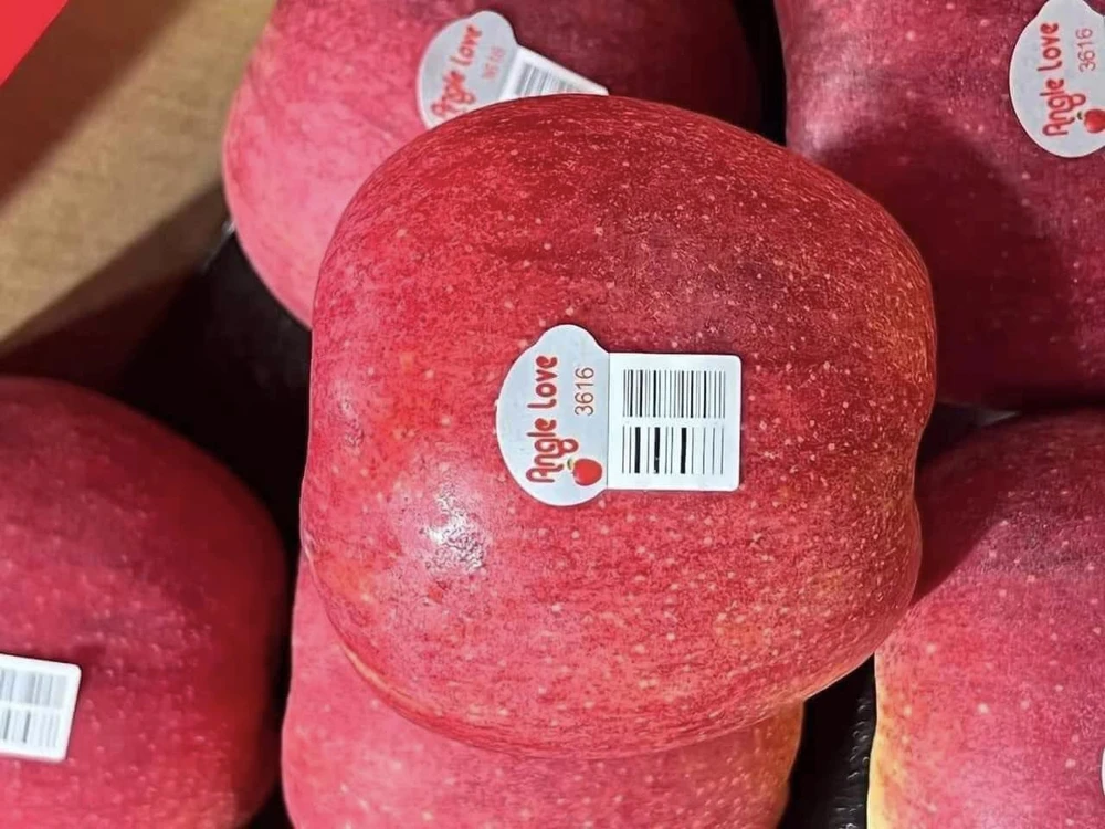 7 loại trái cây giàu chất xơ giúp bạn đạt được mục tiêu giảm cân.jpg