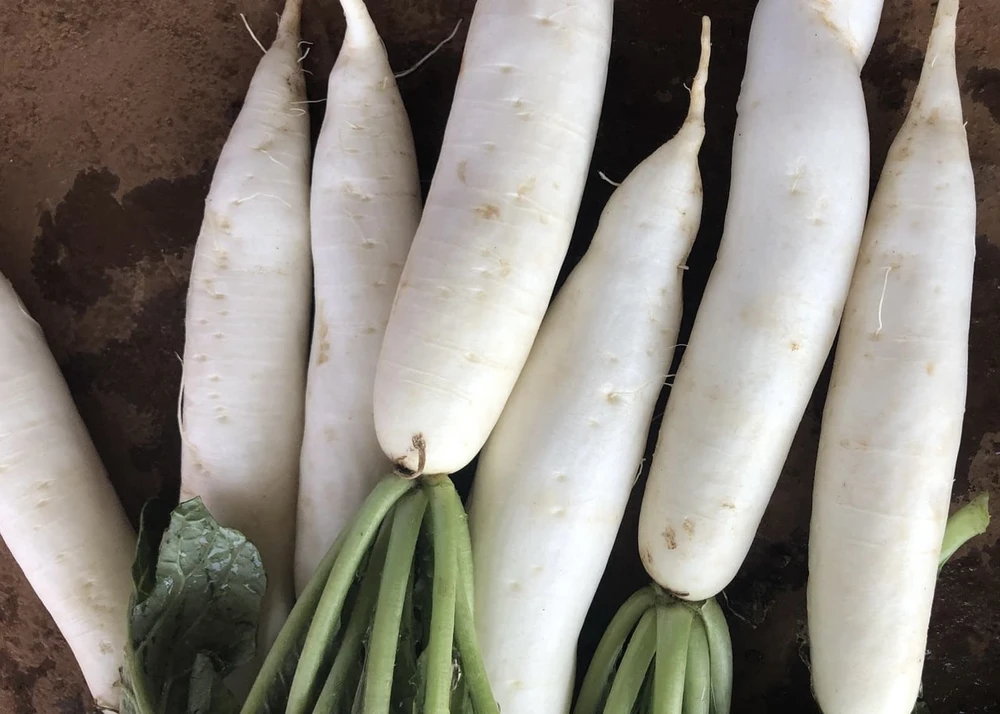 Bất ngờ với những lợi ích sức khỏe khi ăn củ cải trắng.jpg