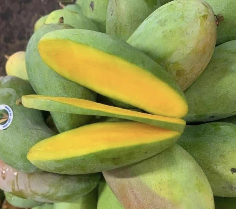 12 lợi ích của hạt trái xoài và cách thêm nó vào chế độ ăn uống của bạn.jpg