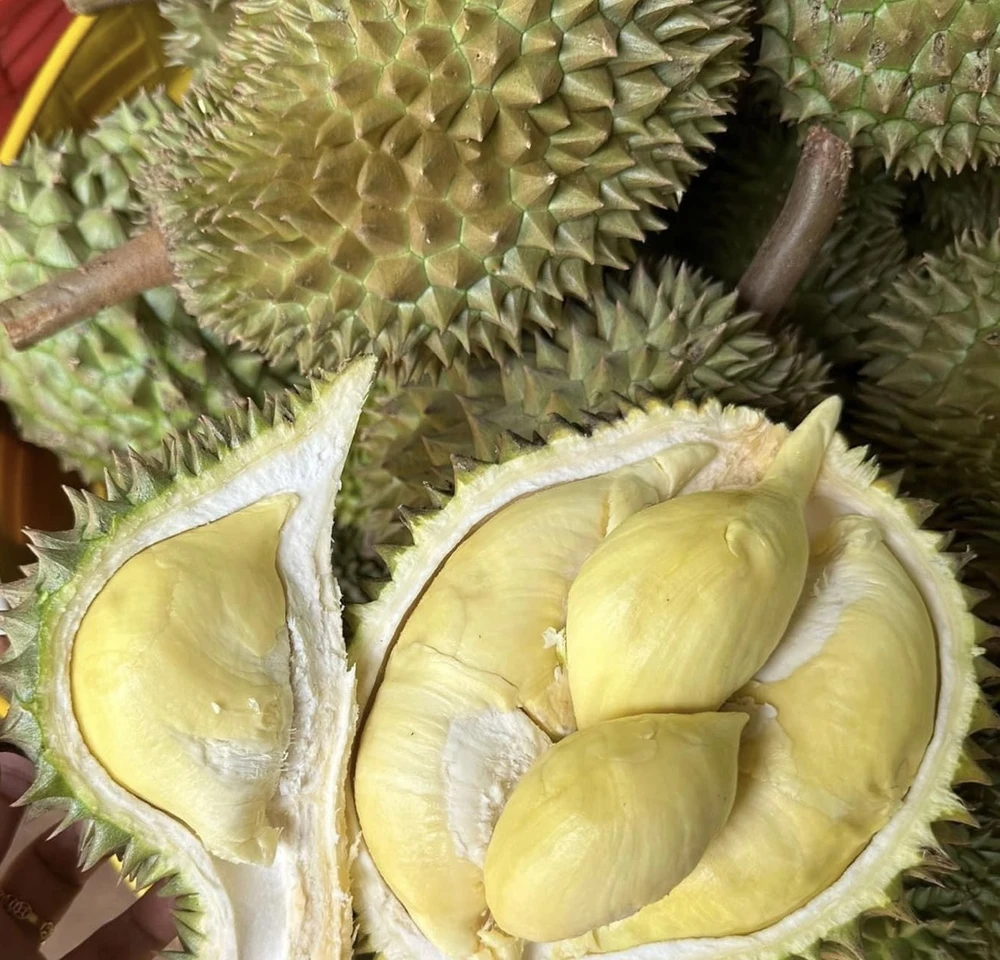 Ăn sầu riêng có lợi cho sức khỏe tổng thể.jpg