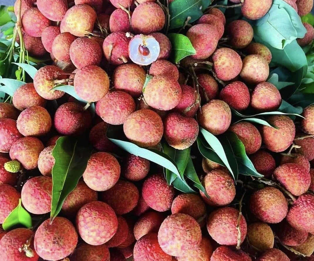 5 loại trái cây không hoàn toàn tốt cho sức khỏe như chúng ta nghĩ.jpg