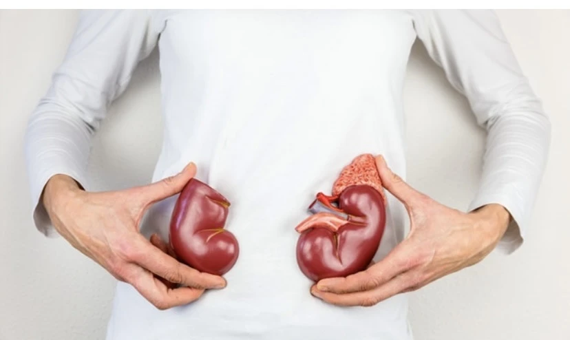 Thực hiện những thay đổi này để cải thiện sức khỏe thận của bạn.jpg