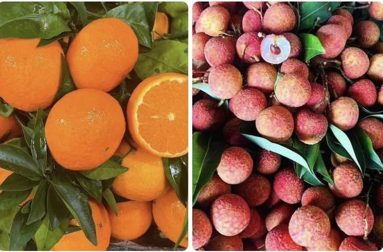 12 loại thực phẩm giúp tăng cường sức khỏe hô hấp tự nhiên.jpg