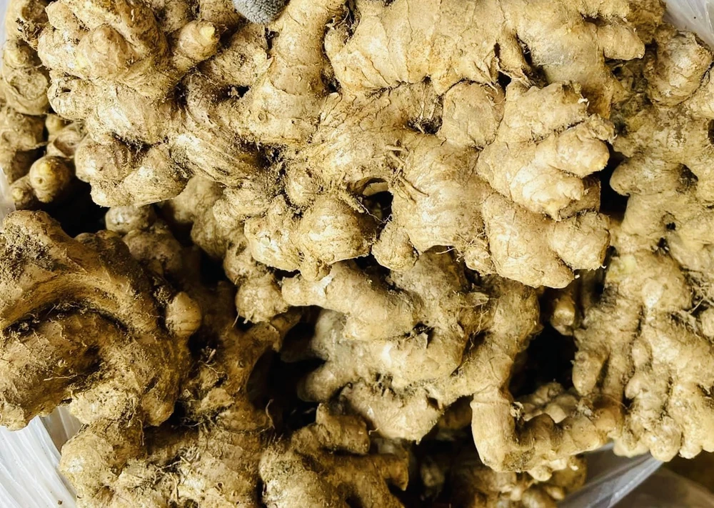 Điều gì xảy ra khi bạn ăn quá nhiều gừng?.jpg