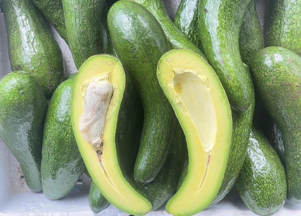 Tăng cường sức khỏe và vẻ rạng rỡ với 7 loại thực phẩm giàu dinh dưỡng này.jpg