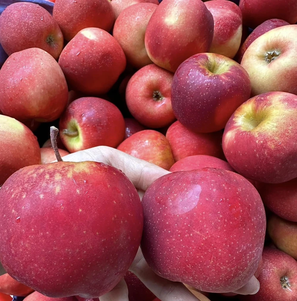 Tăng cường khả năng miễn dịch trong mùa mưa bằng những loại trái cây này.jpg