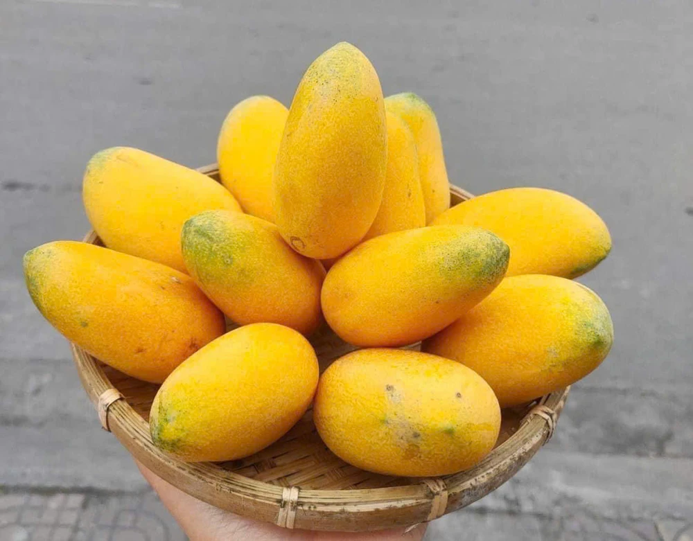 Các loại trái cây có hạt tốt nhất cho sức khỏe của bạn.jpg