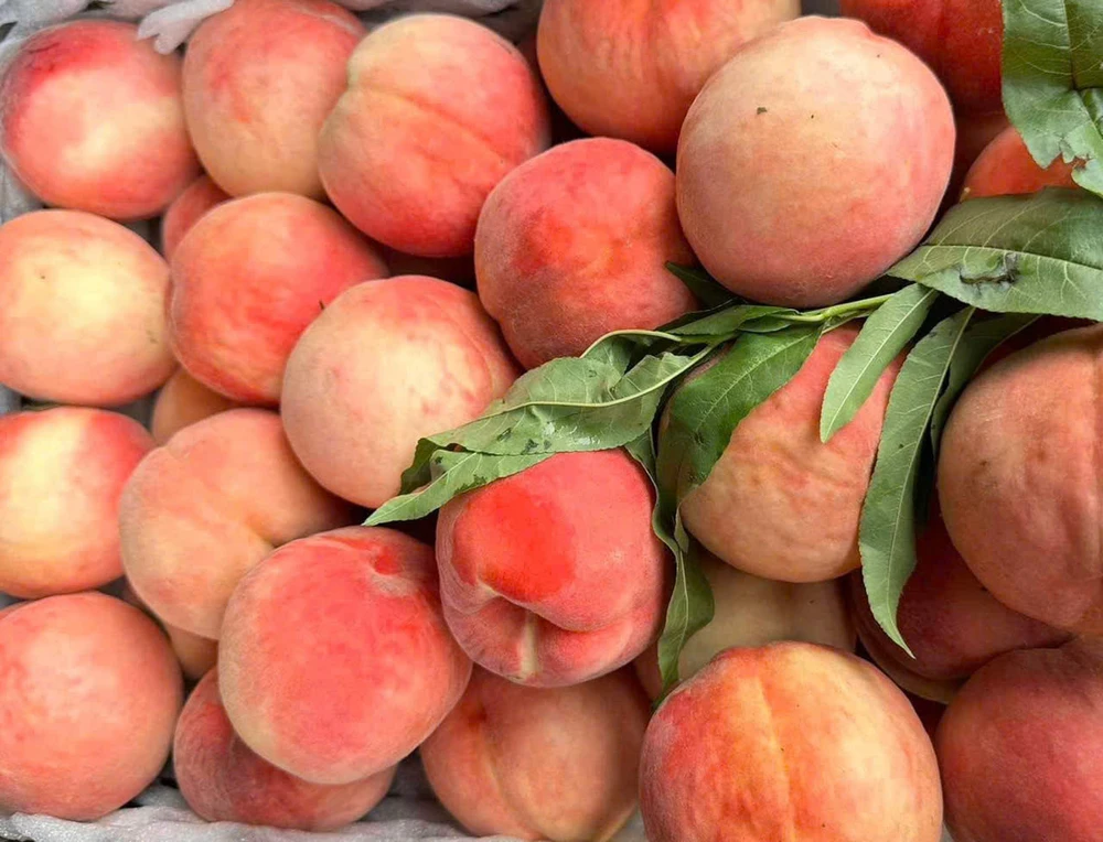 Các loại trái cây có hạt tốt nhất cho sức khỏe của bạn.jpg