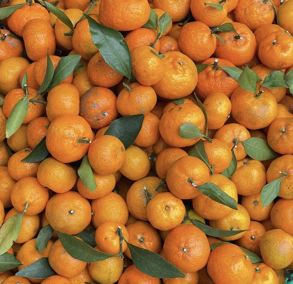 Giảm nguy cơ cảm lạnh và ho mùa đông: 8 biện pháp phòng ngừa hiệu quả.jpg