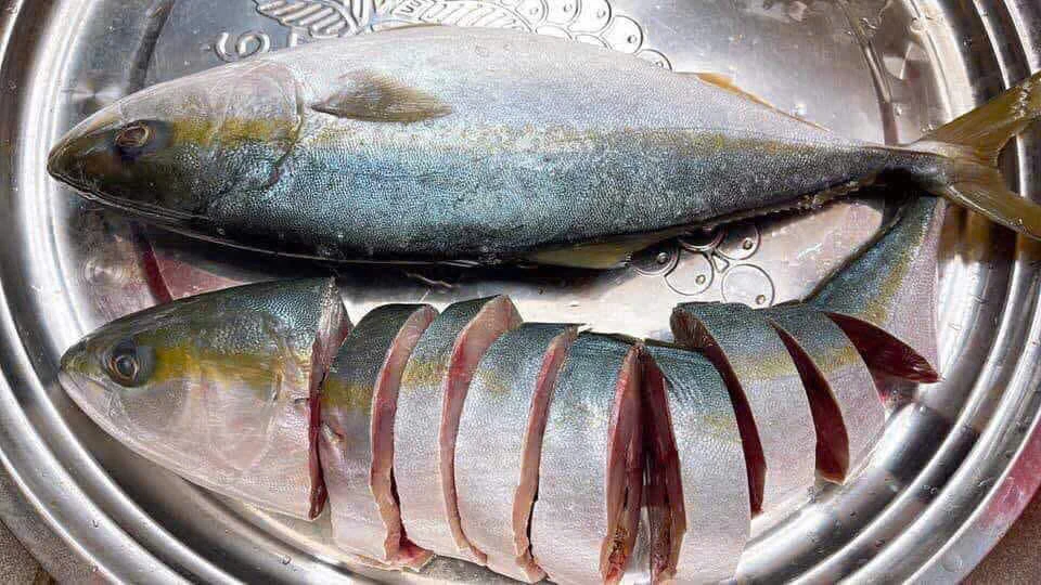 12 loại cá giàu protein: 'Siêu thực phẩm' tăng cơ bắp và sức khỏe.jpg