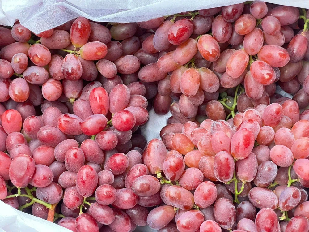 15 loại trái cây giàu protein nhất.jpg