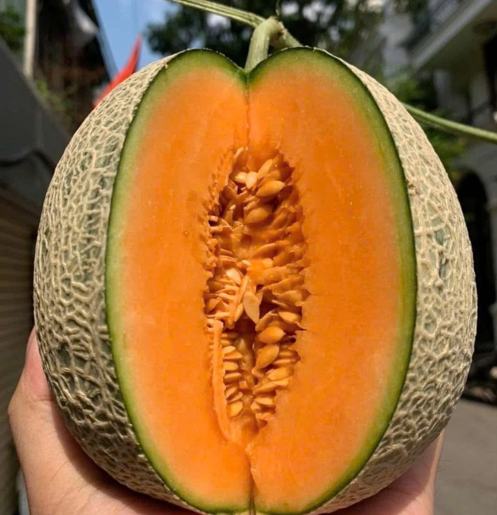 10 lợi ích sức khỏe tuyệt vời khi ăn dưa lưới.jpg