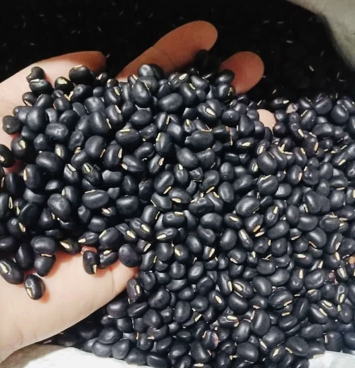 Nguồn sắt từ thực vật dành cho người ăn chay.jpg