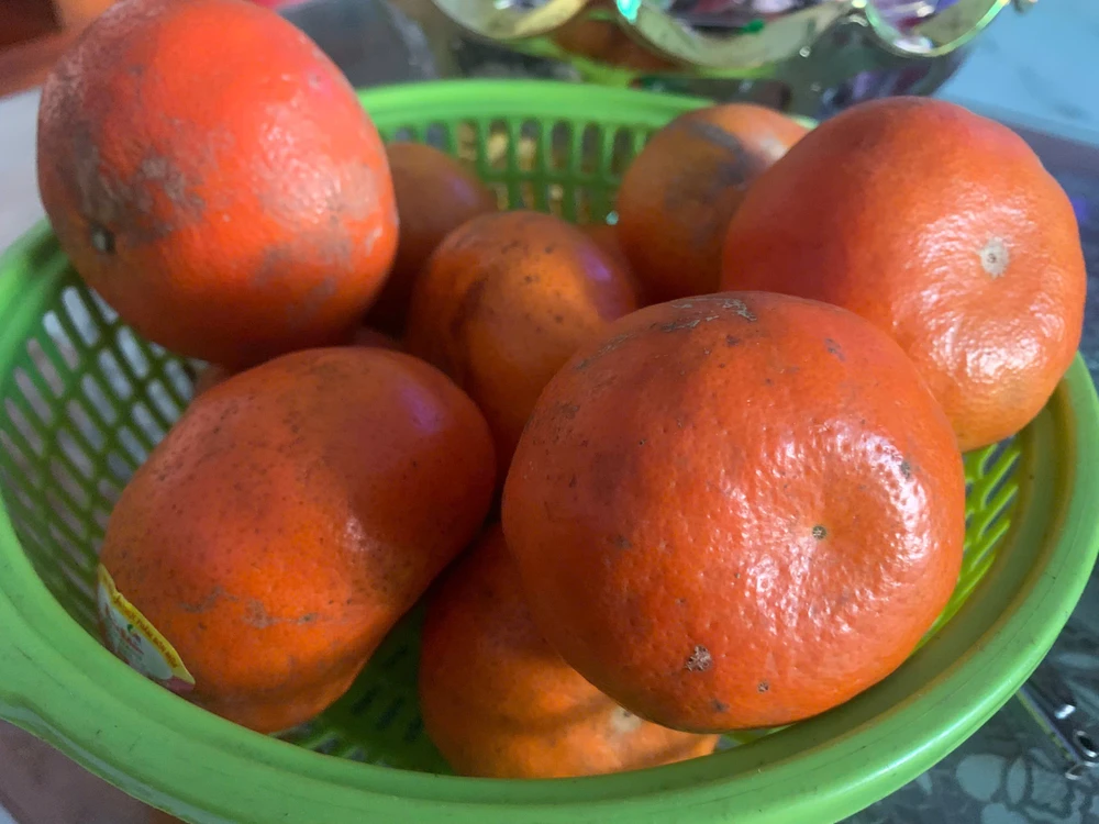 Top thực phẩm giàu chất điện giải: Bổ sung năng lượng cho cơ thể.jpg