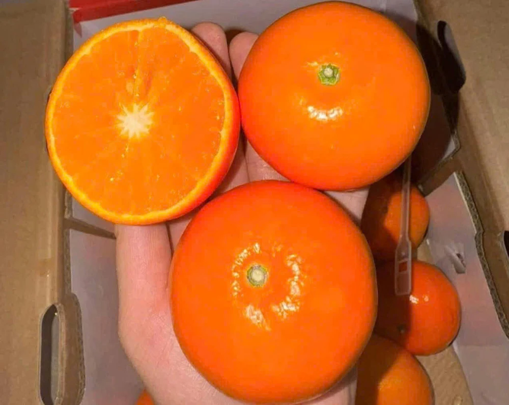 Các chất dinh dưỡng tăng cường sức đề kháng chống lại cúm mùa.jpg