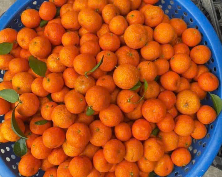 6 thực phẩm giàu chất xơ giúp 'đánh bay' mỡ bụng.jpg