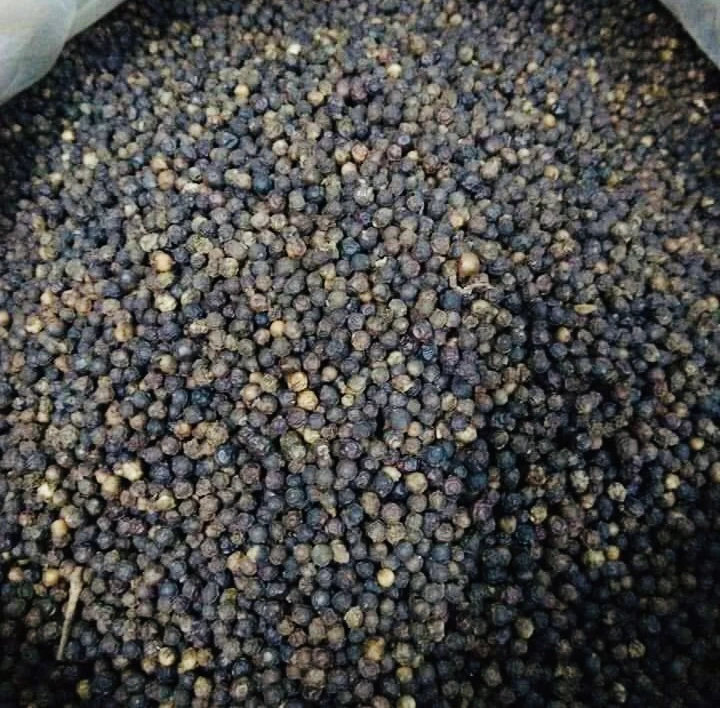 7 lợi ích sức khỏe khi ăn hạt tiêu đen trước khi đi ngủ.jpg