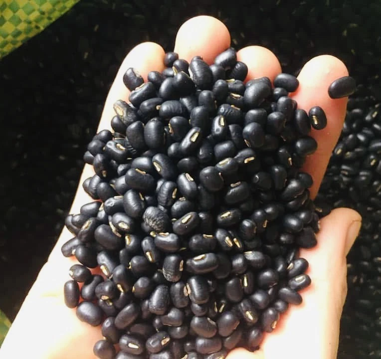 4 loại thực phẩm giàu protein chống viêm nên có trong chế độ ăn của bạn.jpg