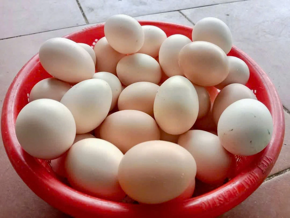 Bí kíp bảo quản trứng trong tủ lạnh đúng cách và nó tươi ngon lâu hơn.jpg