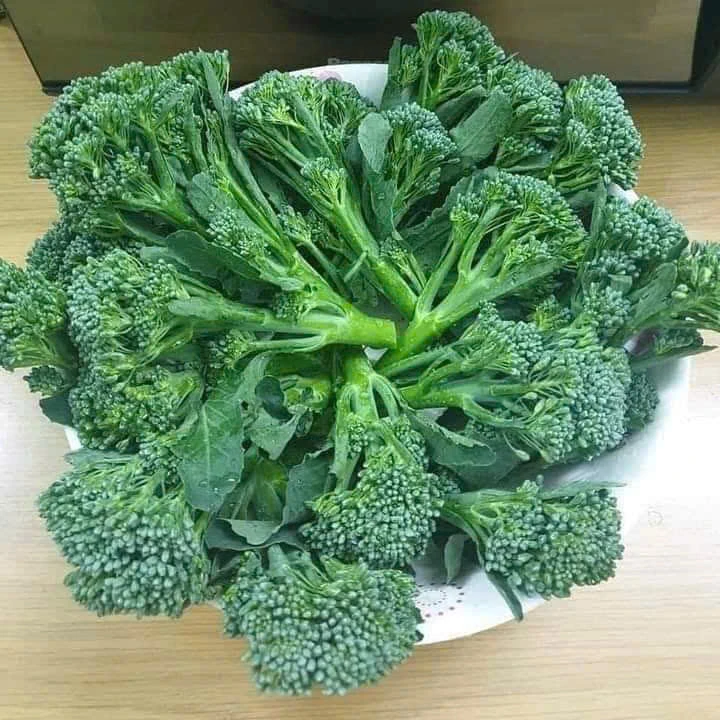 Ăn loại thực phẩm này có thể làm giảm nguy cơ ung thư.jpg