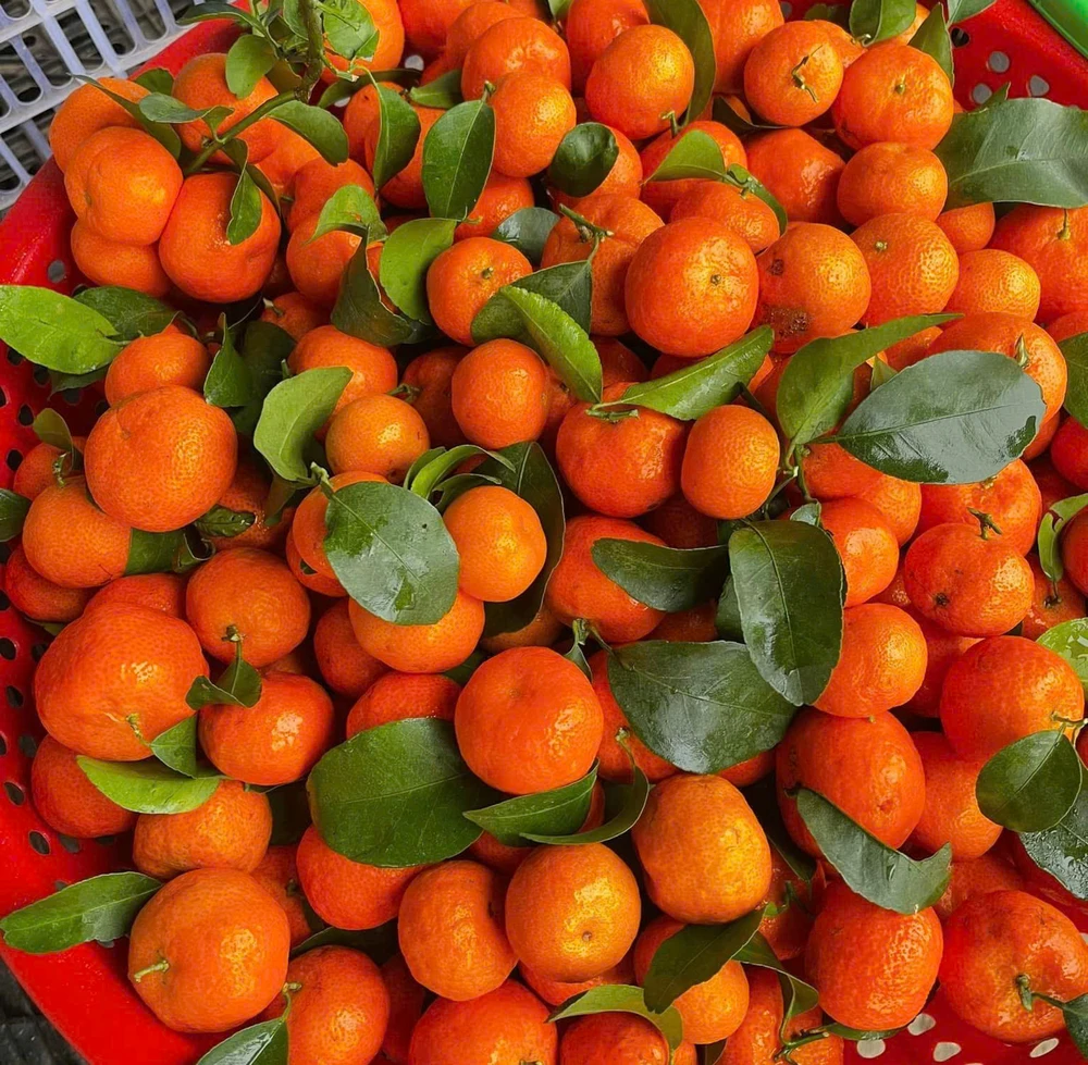 11 thực phẩm vàng ‘đánh bay’ triệu chứng dị ứng.jpg