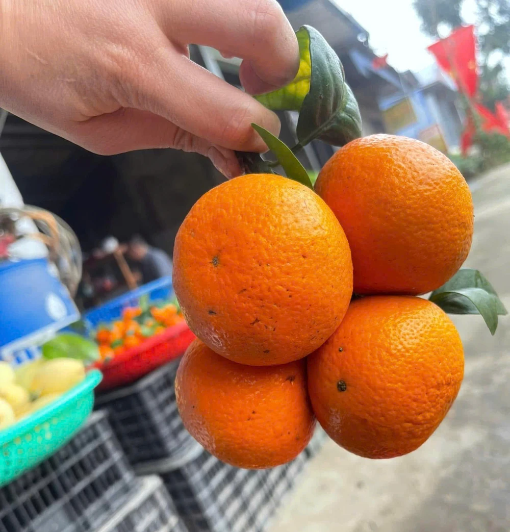 9 loại trái cây giàu canxi hơn cả sữa, cho xương chắc khỏe.jpg