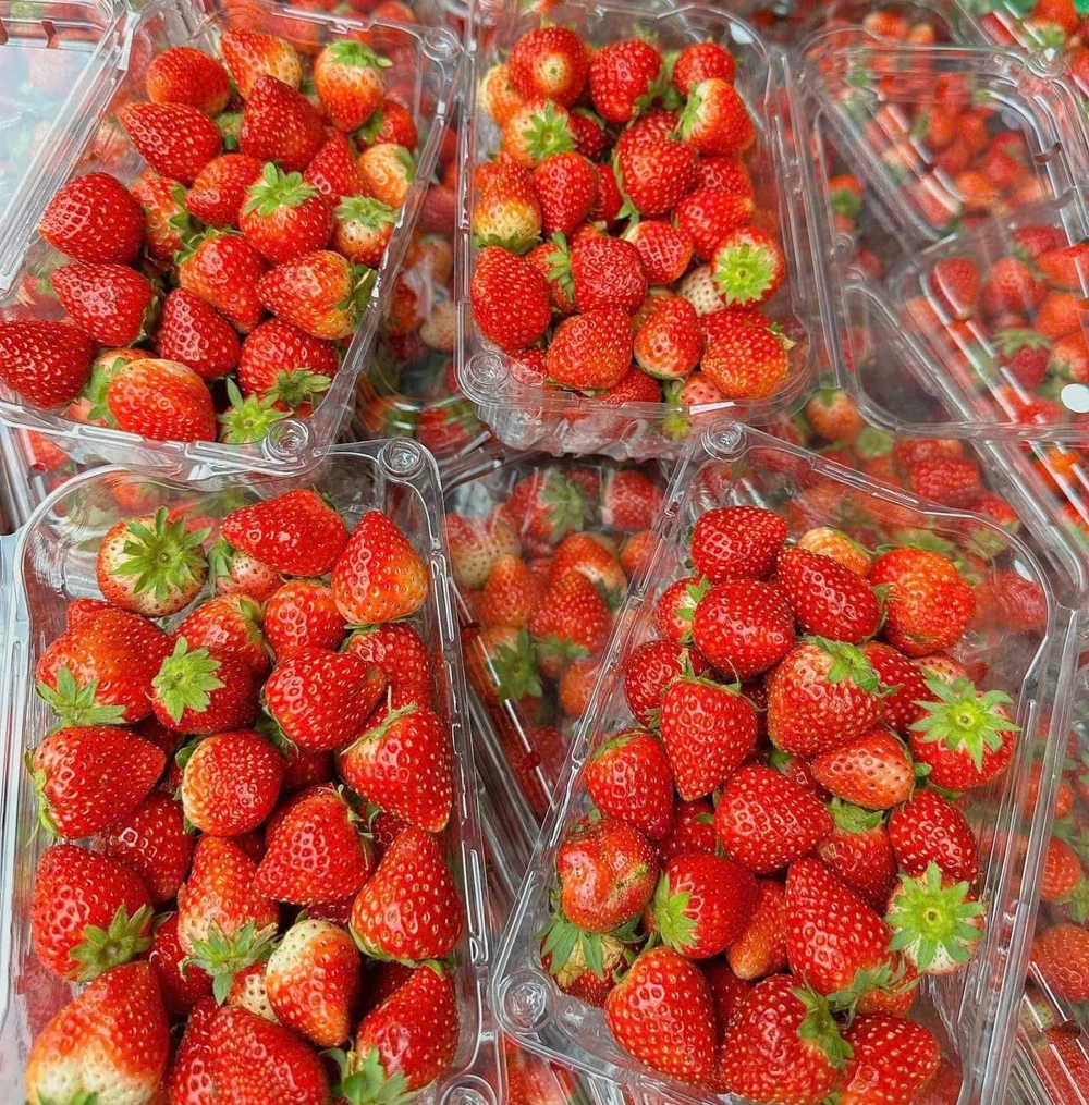 6 loại thực phẩm chống viêm nên ăn để luôn khỏe mạnh.jpg