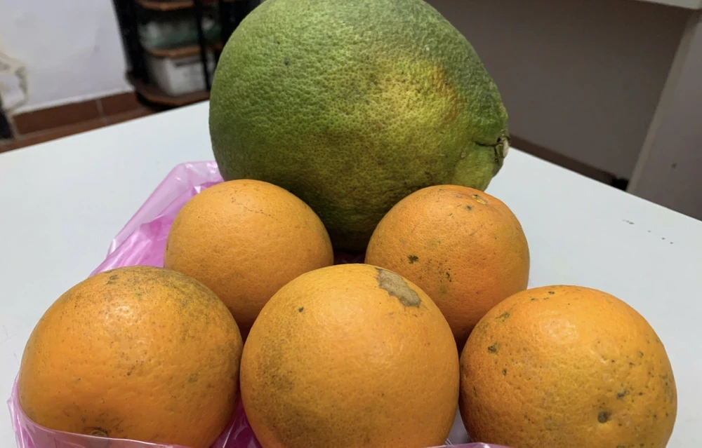 Giảm nồng độ axit uric một cách tự nhiên bằng những thực phẩm này.jpg