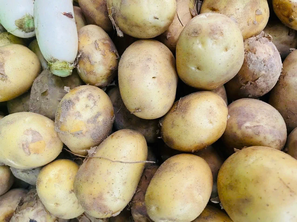 Ăn khoai tây nảy mầm có an toàn không?.jpg